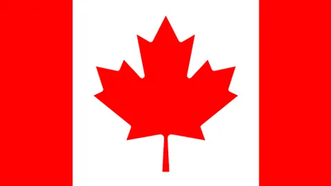 切尔西球迷在糟糕开局中感受波切蒂诺的深切关注