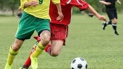 哪國代表參加世界杯的澤馬？