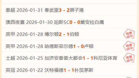 Heartopia期号专家推荐：浪漫候选人质合分析